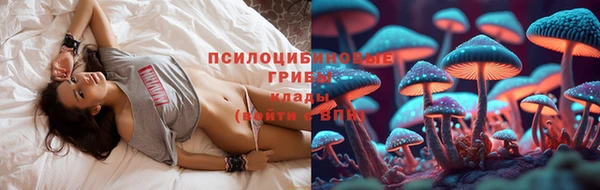 спиды Ростов