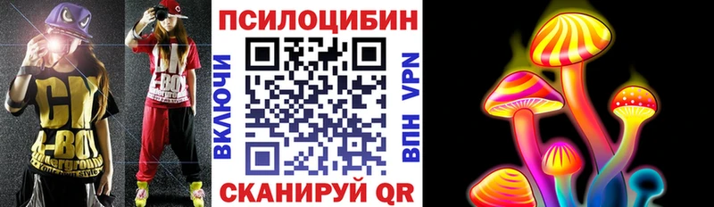 Галлюциногенные грибы Psilocybe Стрежевой