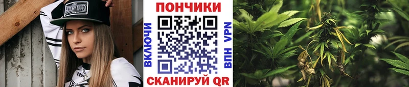 kraken зеркало  Стрежевой  Марихуана конопля 